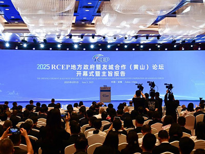 洽洽食品三度亮相RCEP论坛，特色农产品合作共绘皖品出海新图景